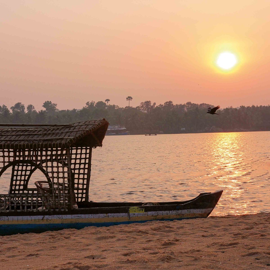 Tropische Natur in Kerala